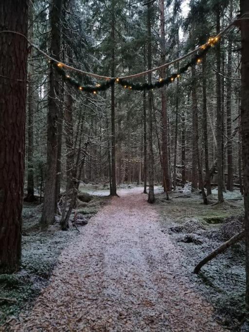 Treetop Ekne - Hytte I Skogen Med Hengebru Hotel Levanger Buitenkant foto