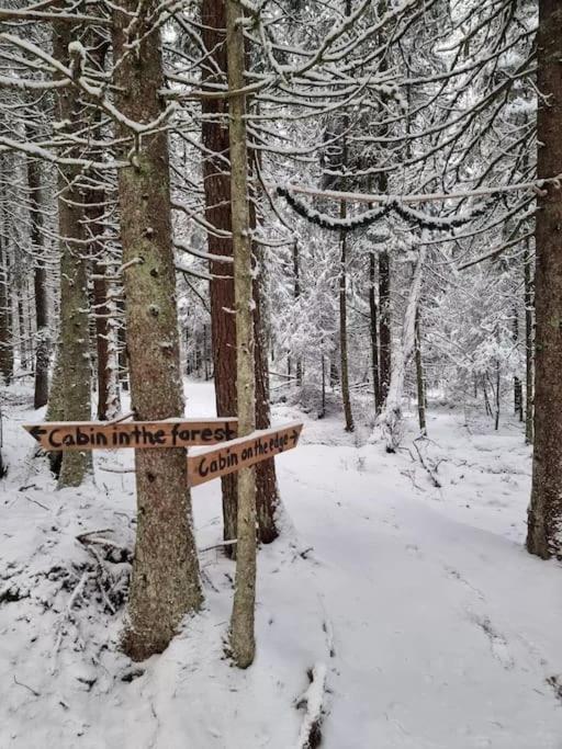 Treetop Ekne - Hytte I Skogen Med Hengebru Hotel Levanger Buitenkant foto