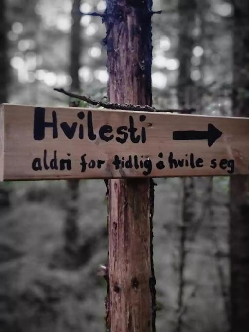 Treetop Ekne - Hytte I Skogen Med Hengebru Hotel Levanger Buitenkant foto