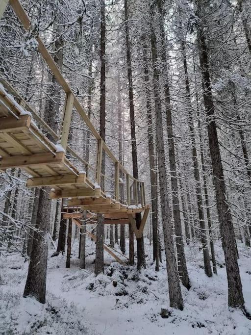 Treetop Ekne - Hytte I Skogen Med Hengebru Hotel Levanger Buitenkant foto