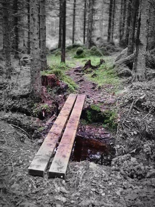Treetop Ekne - Hytte I Skogen Med Hengebru Hotel Levanger Buitenkant foto