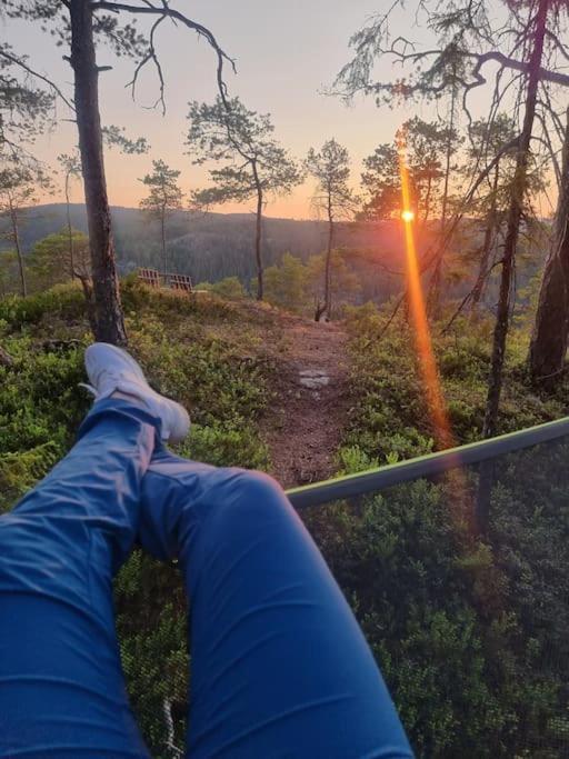 Treetop Ekne - Hytte I Skogen Med Hengebru Hotel Levanger Buitenkant foto