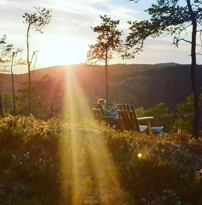 Treetop Ekne - Hytte I Skogen Med Hengebru Hotel Levanger Buitenkant foto