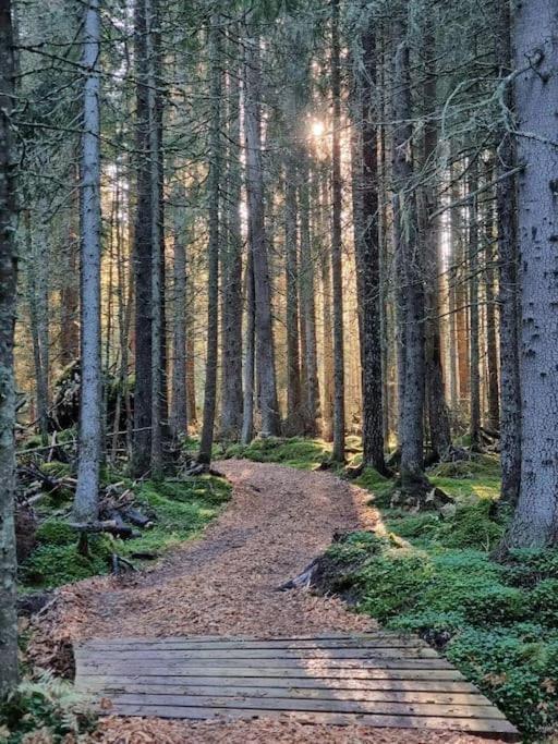 Treetop Ekne - Hytte I Skogen Med Hengebru Hotel Levanger Buitenkant foto