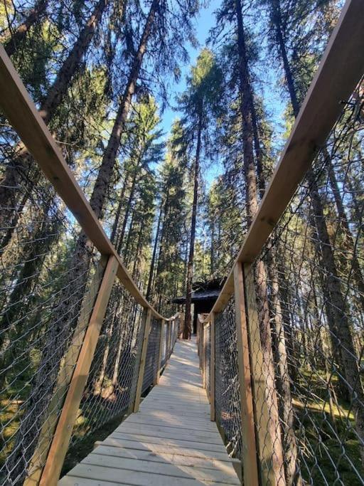 Treetop Ekne - Hytte I Skogen Med Hengebru Hotel Levanger Buitenkant foto