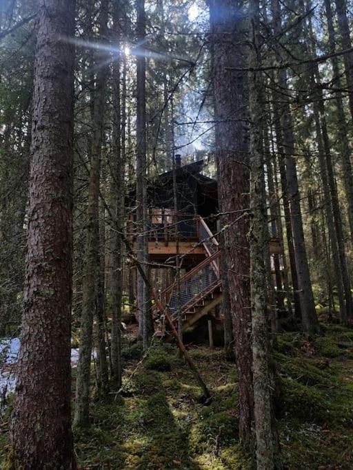 Treetop Ekne - Hytte I Skogen Med Hengebru Hotel Levanger Buitenkant foto
