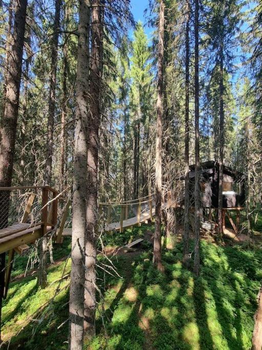 Treetop Ekne - Hytte I Skogen Med Hengebru Hotel Levanger Buitenkant foto